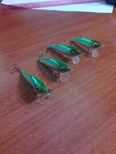 IMG_20140825_181142.jpg (55.12 КБ) 3191 просмотр 2 крайние слева - 8 гр. выраженные колебания и подобие "двойной игры", далее 7 и 6 гр , игра -"крупная дрожь".