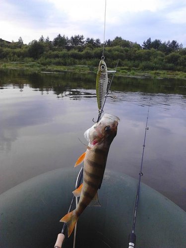 IMG_20140821_081400.jpg (47.37 КБ) 3187 просмотров тут вроде можно получше рассмотреть воблер