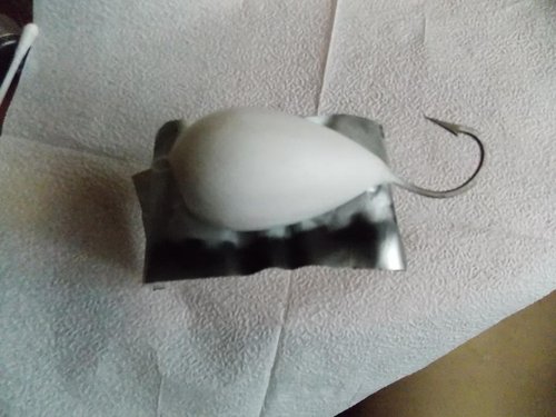 DSCN3106.JPG