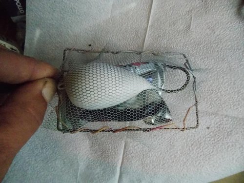 DSCN3109.JPG