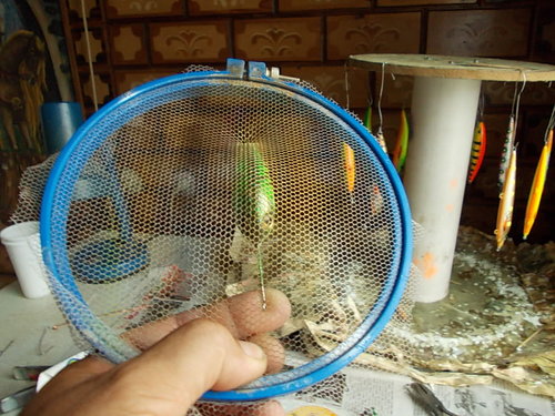 DSCN5292.JPG