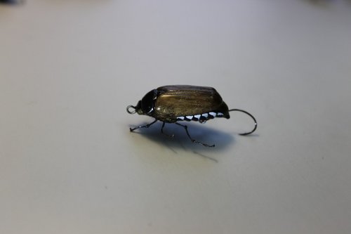 IMG_2219 (Копировать).JPG (51.26 КБ) 20535 просмотров IMG_2219 (Копировать).JPG