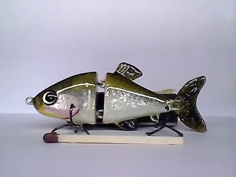 Snapshot_20110217_30.jpg