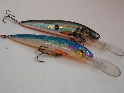 DSCN5319.JPG