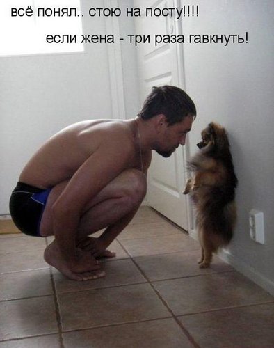 x_abd0ab1e.jpg