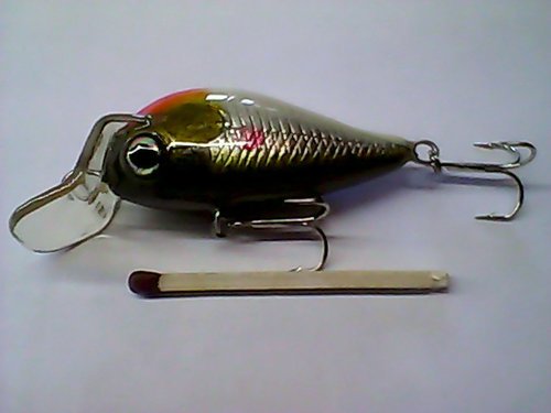 Snapshot_20110314_30.jpg