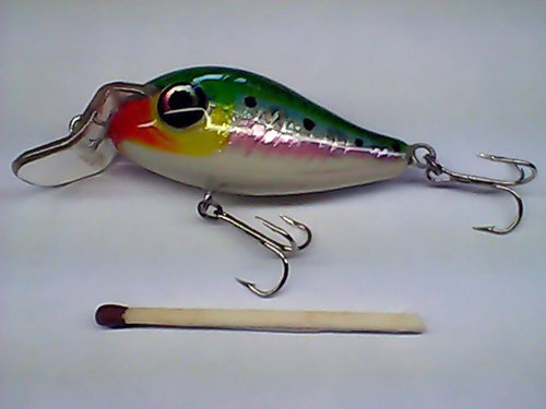 Snapshot_20110314_34.jpg