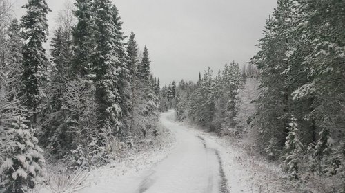 004.jpg (191.89 КБ) 35545 просмотров уже зима...