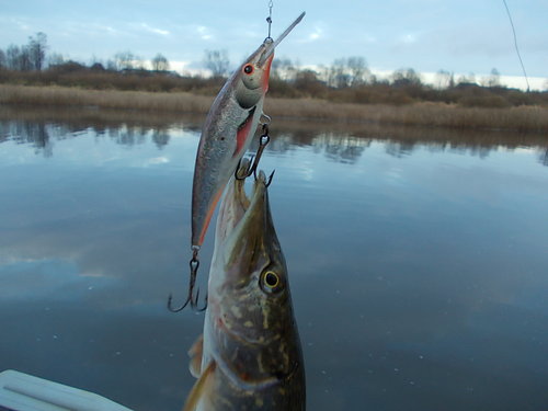 DSCN5610.JPG