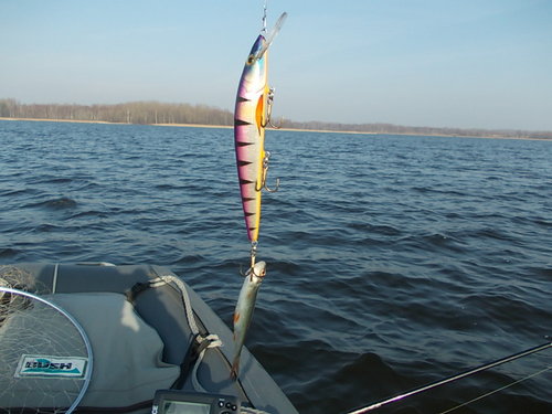 DSCN5619.JPG