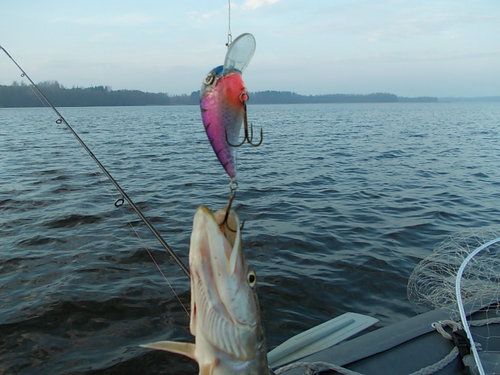 DSCN5613.JPG
