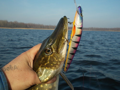 DSCN5628.JPG
