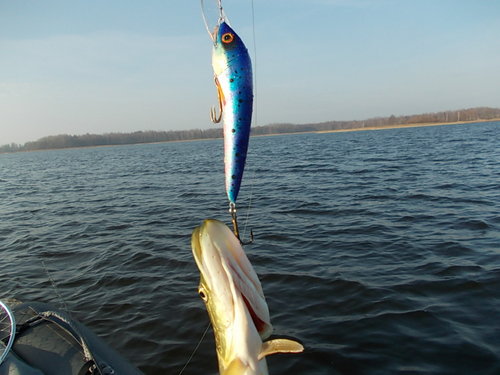 DSCN5630.JPG