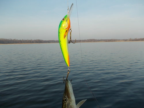 DSCN5671.JPG