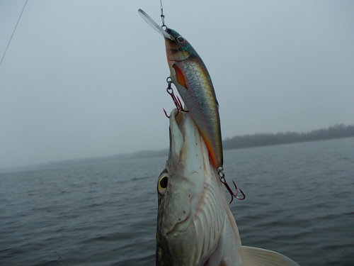 DSCN5699.JPG