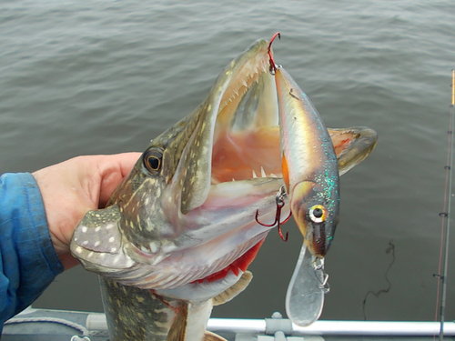DSCN5687.JPG
