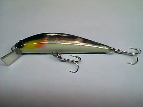 Snapshot_20110318_7.jpg
