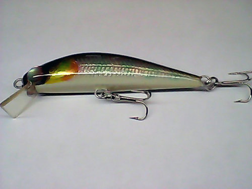 Snapshot_20110318_27.jpg