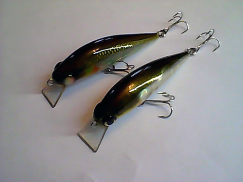 Snapshot_20110318_31.jpg