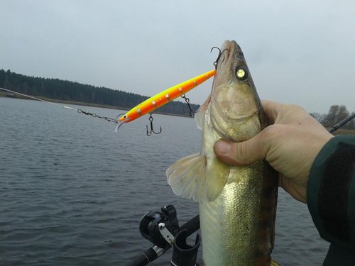 20141117_131326.jpg
