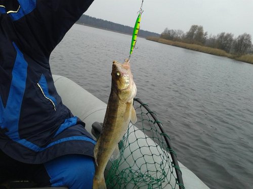 20141117_131524.jpg