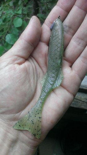 IMAG0711.jpg