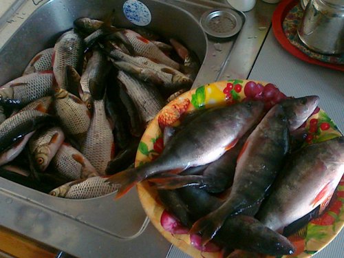 14032011264.jpg