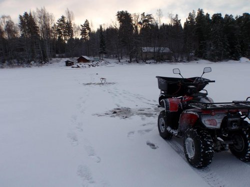 P1108981.JPG