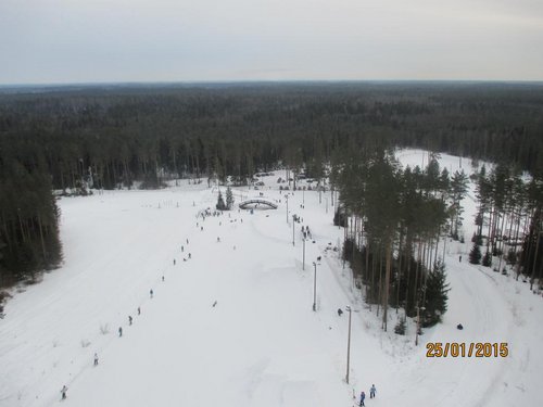 IMG_0146.jpg