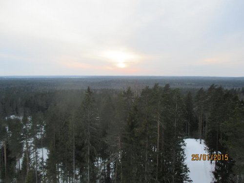 IMG_0147.jpg