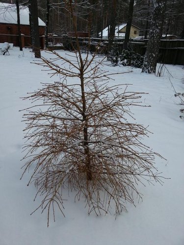 20150127_143738.jpg