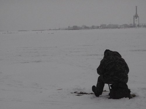 P1319199.JPG