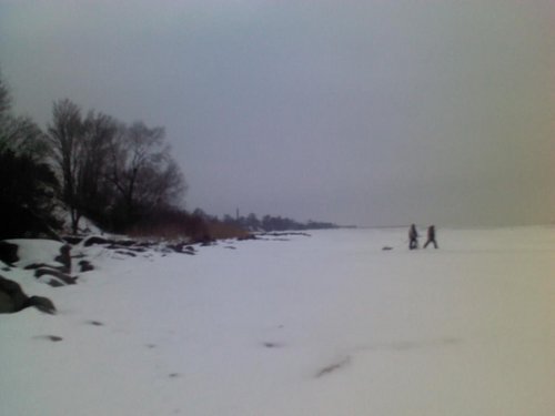 IMG182.jpg