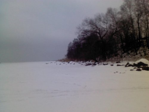IMG183.jpg