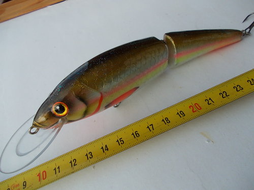 DSCN6295.JPG