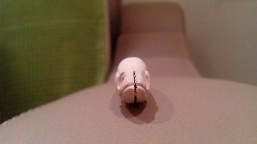 IMG_20150226_231305.jpg