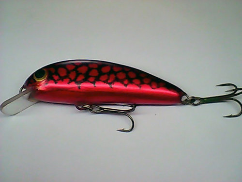 Snapshot_20110327_12.jpg