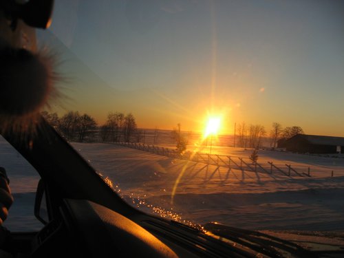 IMG_6662.jpg