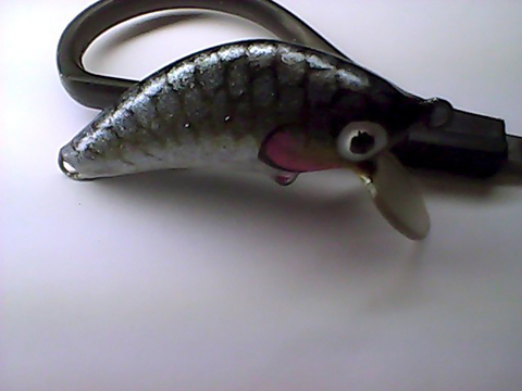 Snapshot_20110328_6.jpg