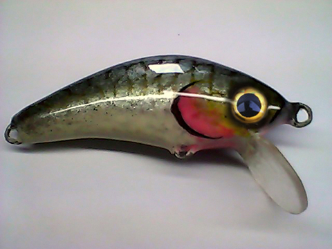 Snapshot_20110330.jpg