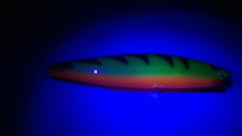WP_20150410_013.jpg