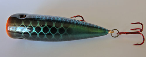 DSCN1900.jpg
