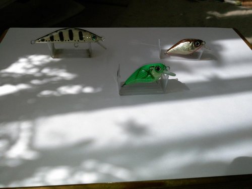IMG_20150418_120712_882.jpg