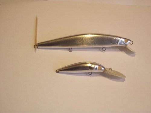 DSCF1279.JPG