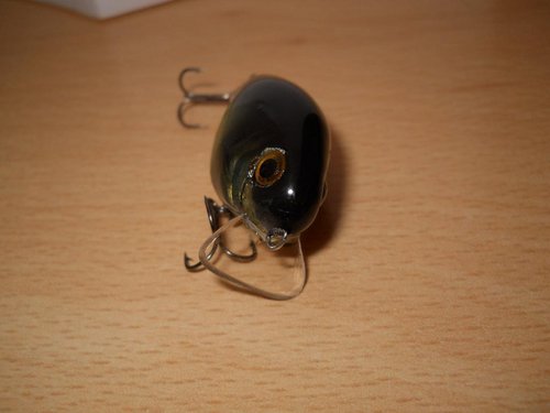 DSCN4132.JPG