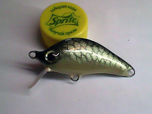 Snapshot_20110403_29.jpg