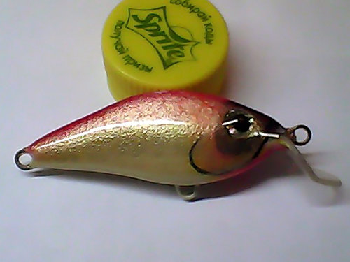 Snapshot_20110403_35.jpg