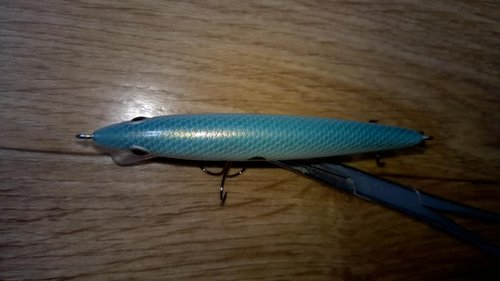 WP_20150522_007.jpg