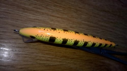 WP_20150522_012.jpg