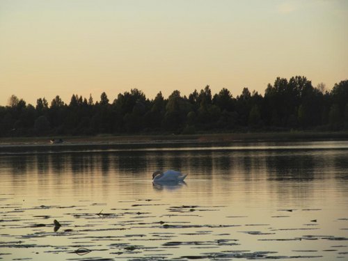 IMG_7974.JPG